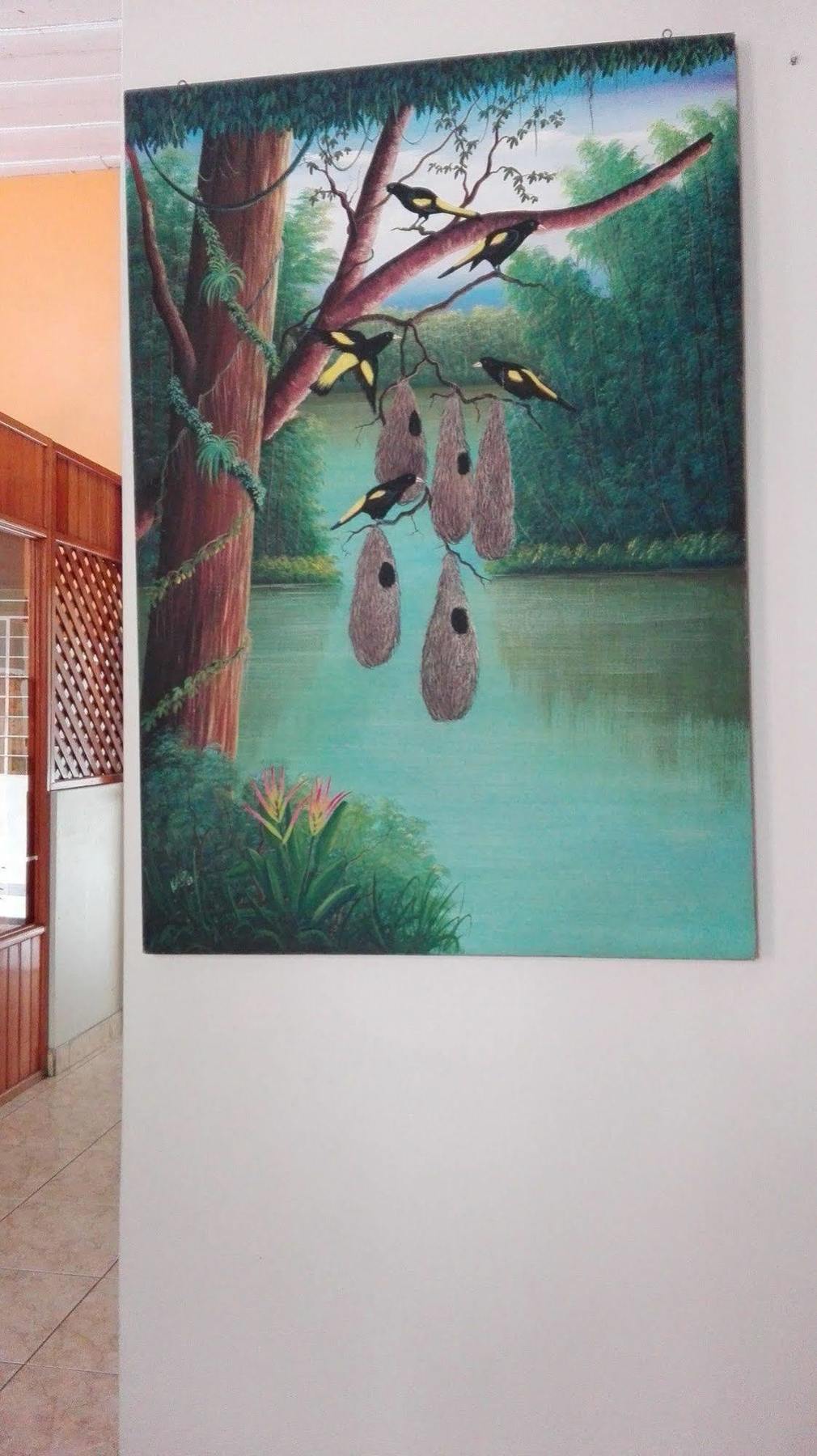 Hostal El Colibri Iquitos Exterior foto