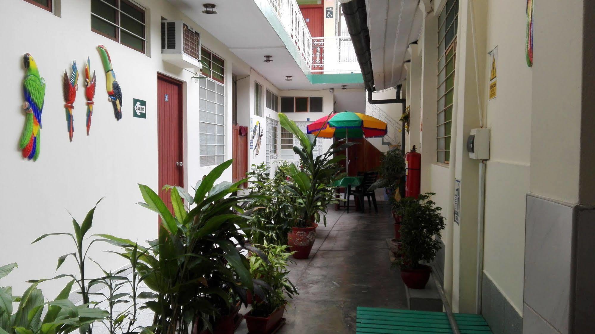 Hostal El Colibri Iquitos Exterior foto